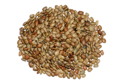 Picture of Horse Gram / Muthira 1 kg