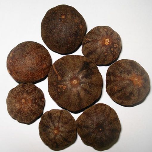Picture of Dry Lemon