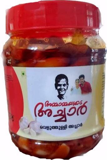 Picture of Garlic Pickle (Ammamma's) 500 gm