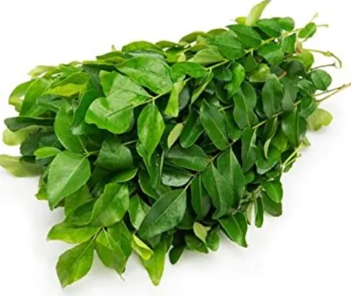 Picture of Curry Leaves 1 pkt