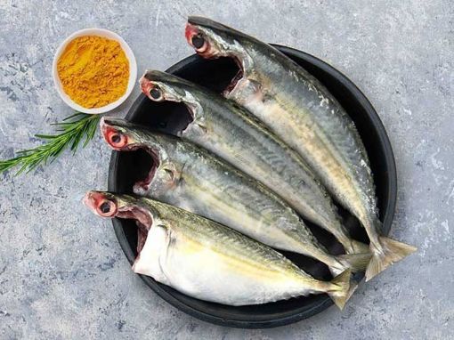 Picture of Mackerel  / അയല (Ocean Bell) 908gm