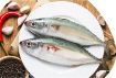 Picture of Mackerel  / അയല (Ocean Bell) 908gm