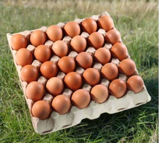 Picture of Fresh Eggs  30 nos Tray - Size 6