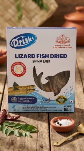 Picture of Dried Lizard Fish (Drish) 100 gm