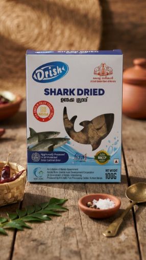 Picture of Dried Shark Fish (Drish)100 gm